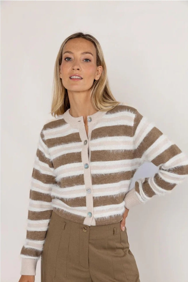 Cardigan stripe 533181