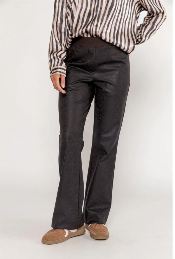 Pant Shiny 533224